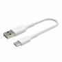 Belkin - USB-C/USB-A Kabel 15cm ummantelt, wei� CAB002bt0MWH