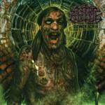 Ahtme - Sewer Born