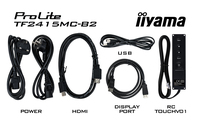Iiyama 1