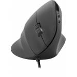 Speedlink - SPEEDLINK PIAVO mouse Right-hand USB Optical 2400 DPI