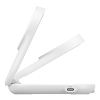Belkin 1