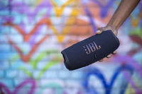 Jbl 18
